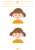 s3.png