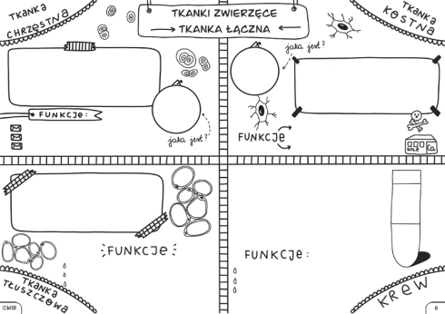 biologia6_2.png