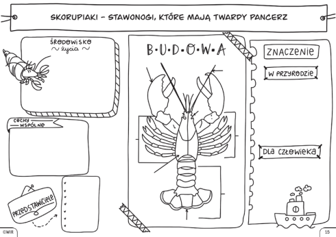 biologia6_3.png
