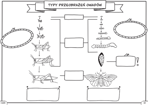 biologia6_4.png