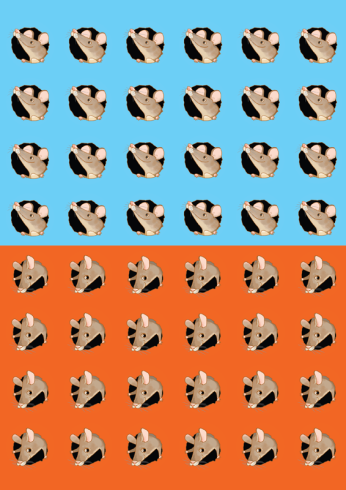żetony.png