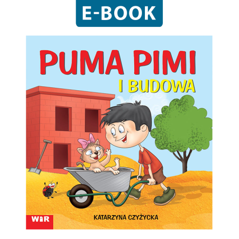 Budowa_n.png