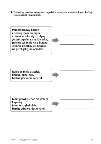 j5.jpg